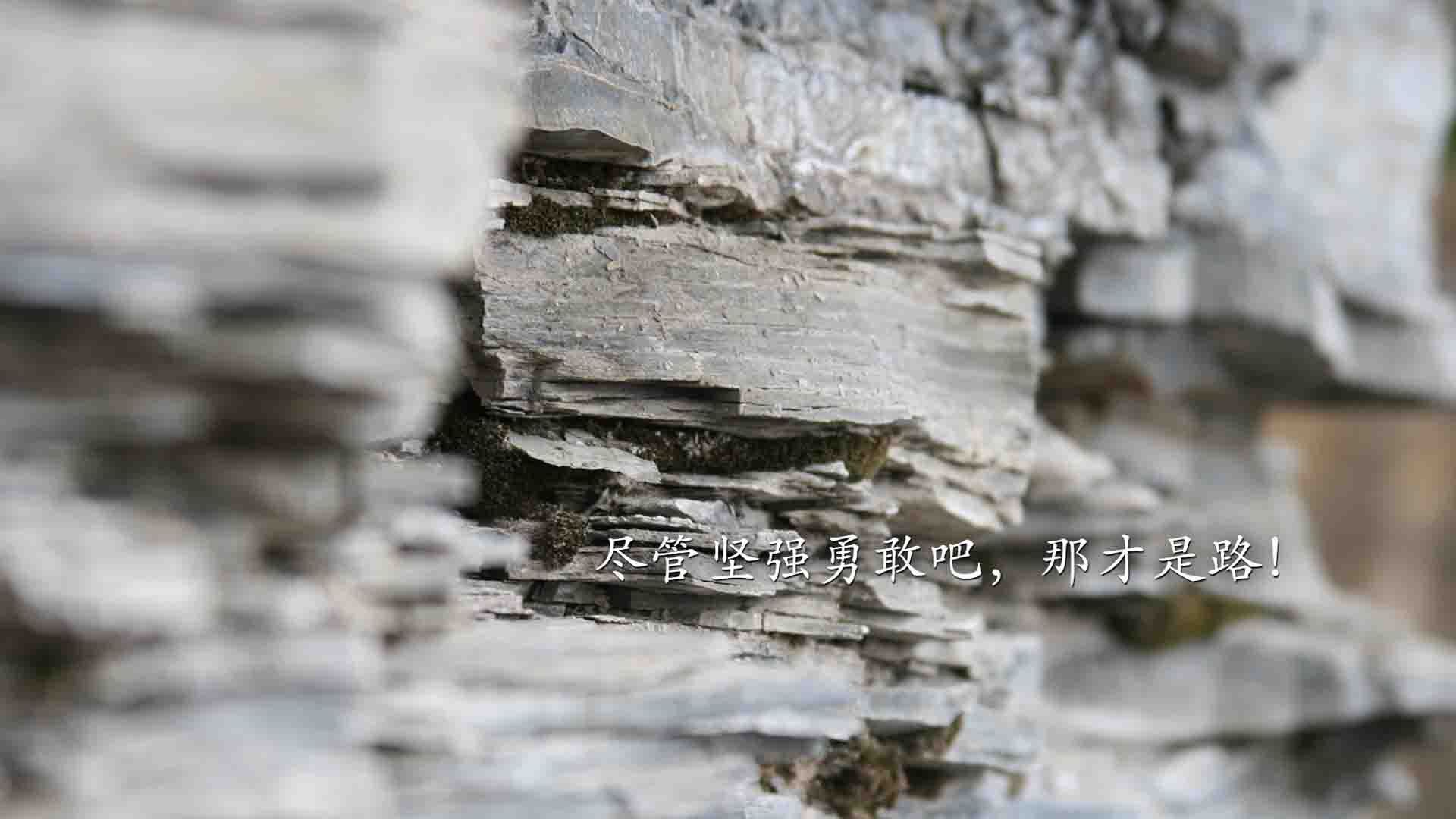 逆袭的序曲，威廉姆斯碾压法拉利，拉塞尔在银石点燃疯狂赛场