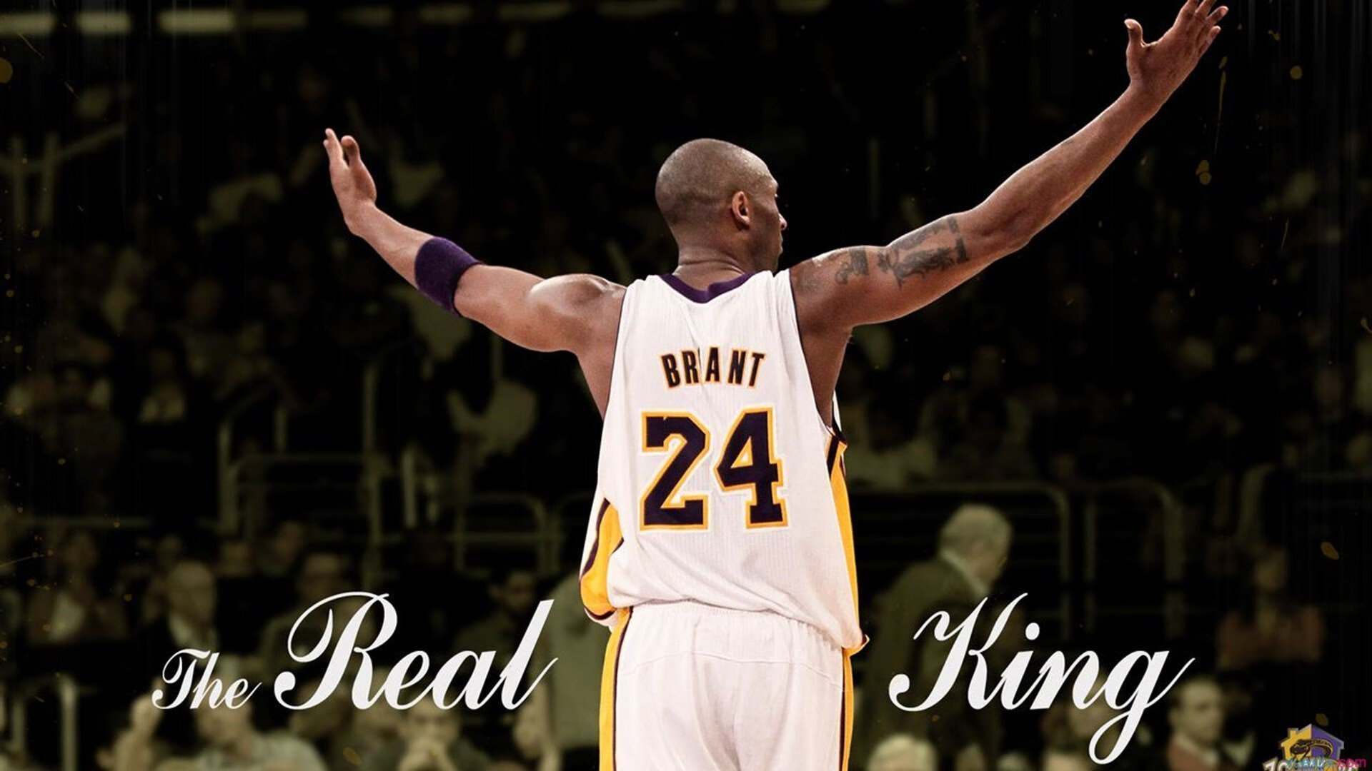 红土铁骑跨海征英伦，穆雷率法网联队横扫温网，改写百年草坪神话