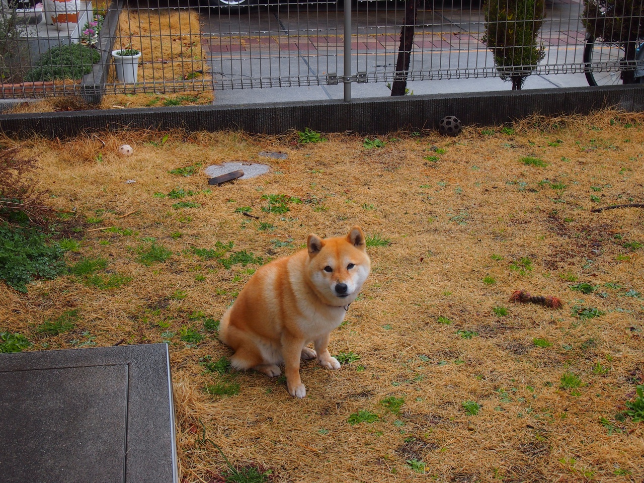 从追赶到称王，汉密尔顿与迈凯伦的早期里程碑胜利