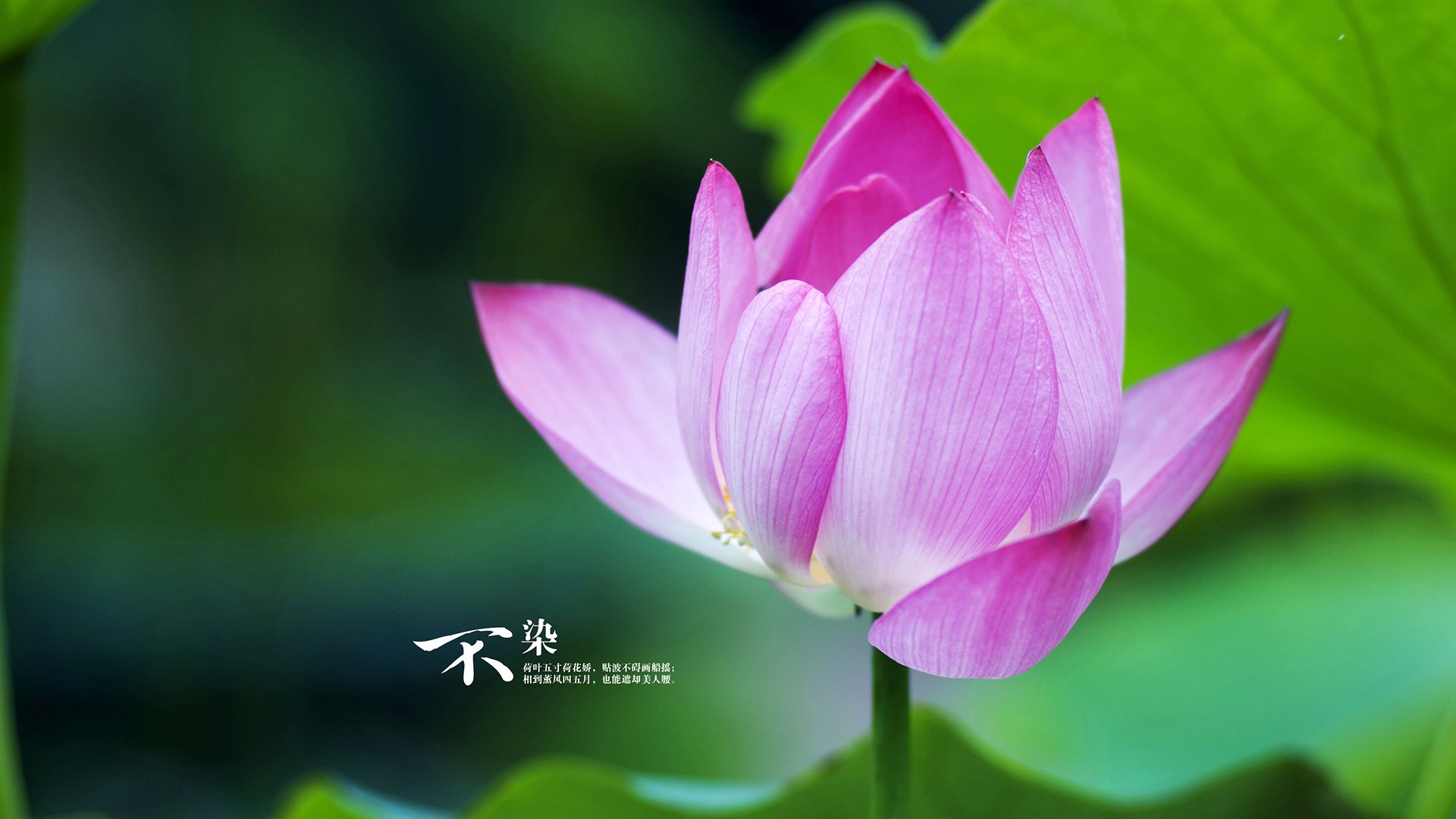 欧冠淘汰赛之夜，哈登用篮球哲学完成跨界封神