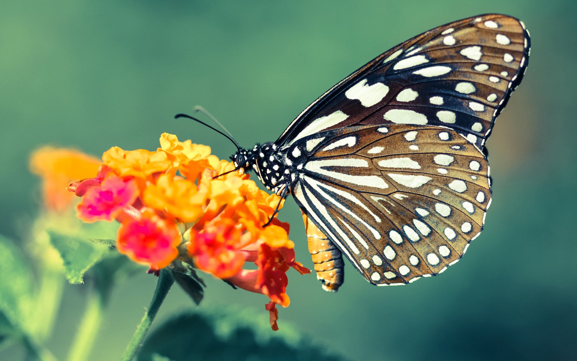 亚洲内战，三笘薰破冰，马赛之谜困死中国