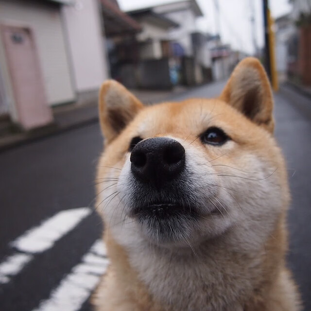 新疆队斩落热火，当詹姆斯成为乌鲁木齐的传说