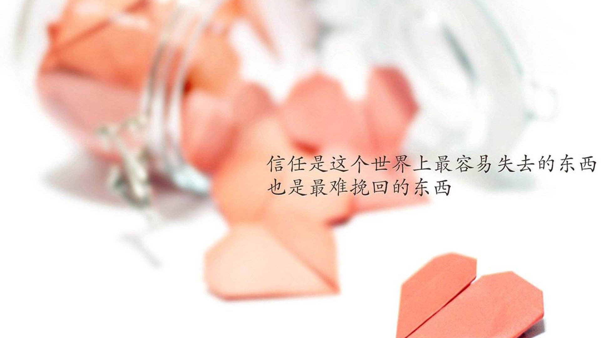 当西北狼遇上华南虎，生死战，勇士带走的不只是一场胜利