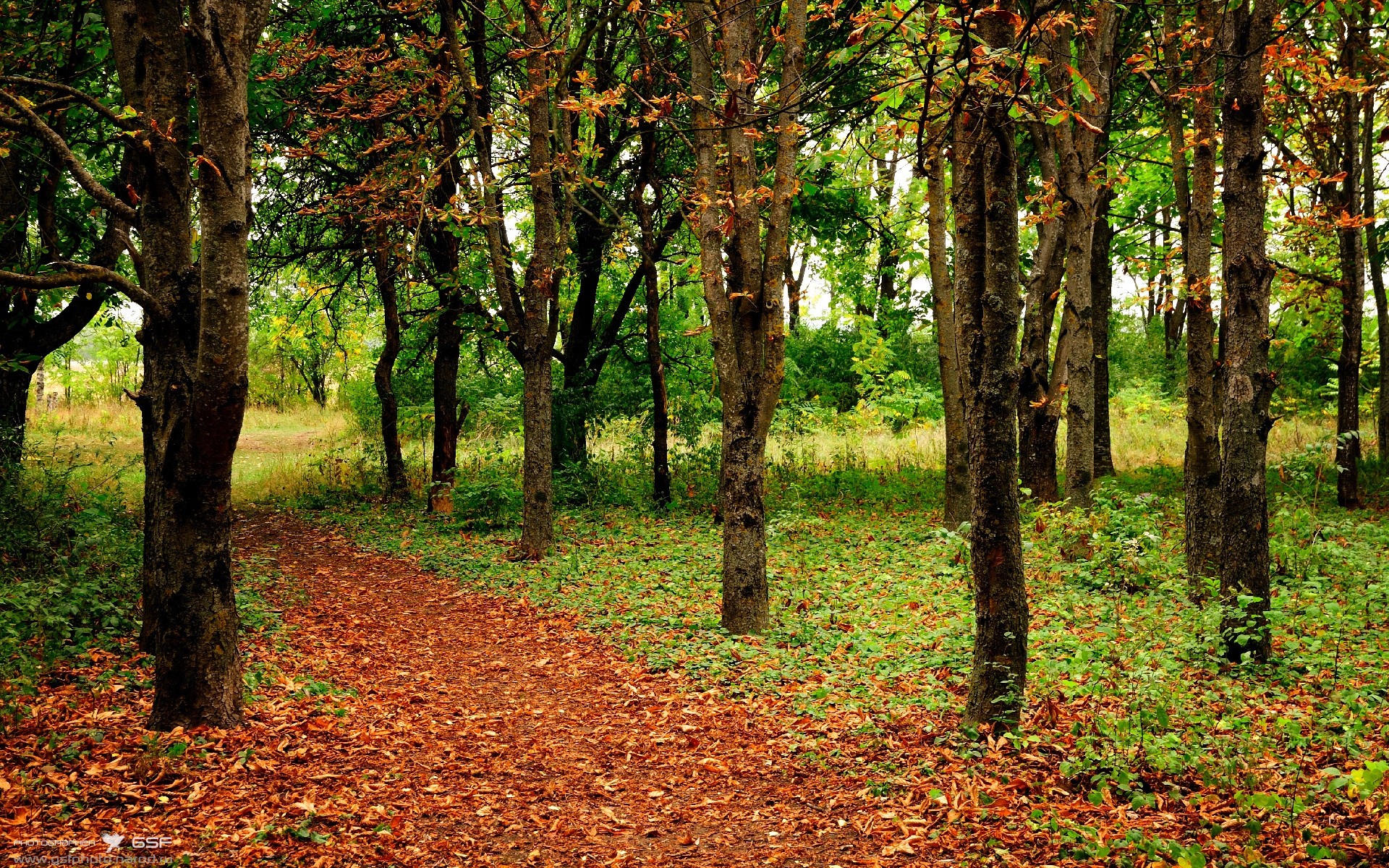 克瓦拉茨赫利亚，璀璨孤星难救主，莱比锡战术坚壁粉碎那不勒斯