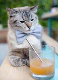 关键时刻统治攻防，利拉德用实力回击所有质疑