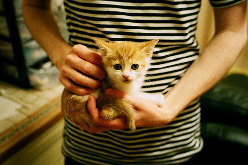 破局者，当布克式得分手撕碎防守体系