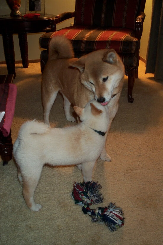 虚拟时空战记,当希腊英雄在绿茵场上对决牙买加雷鬼,卡马文加是那个拨动命运琴弦的人