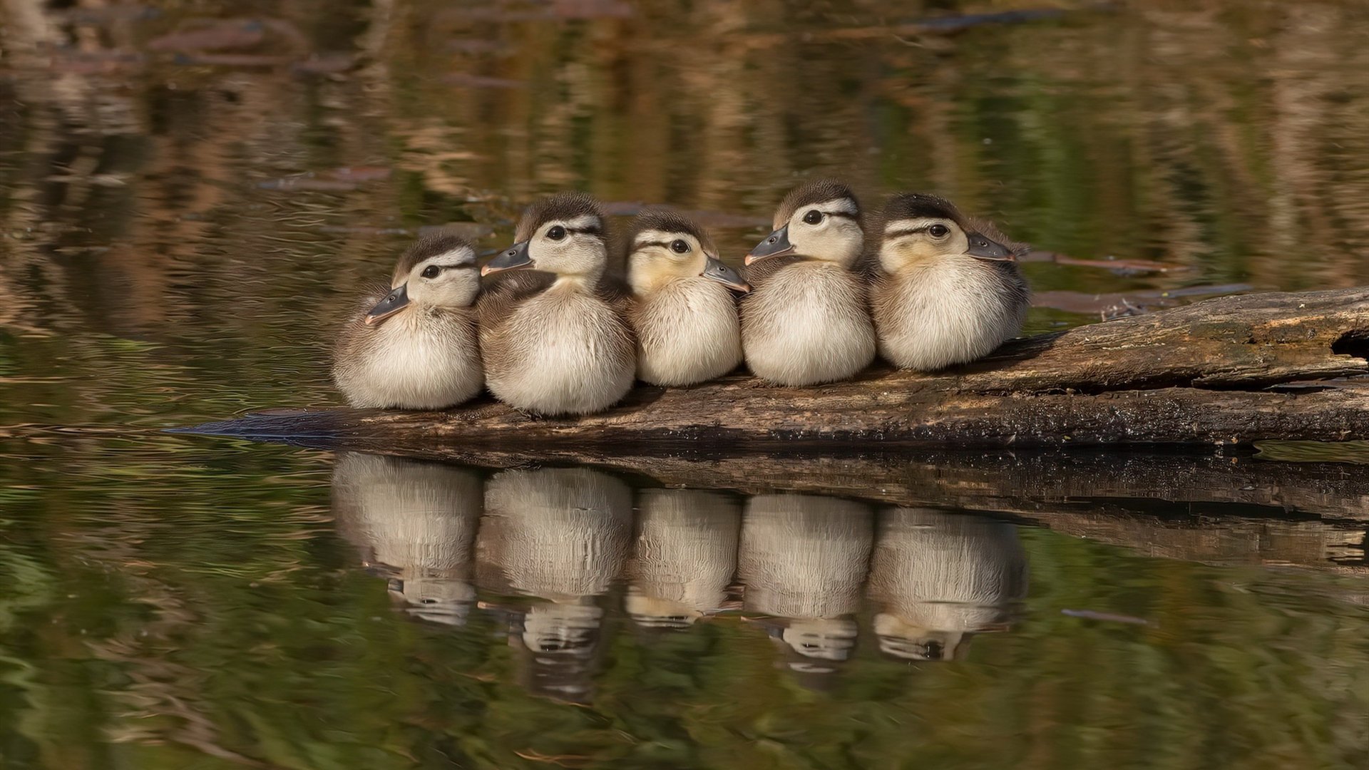 亚特兰大用战术绞索窒息蓝军！福登三连击如何导演这场教科书式压制？