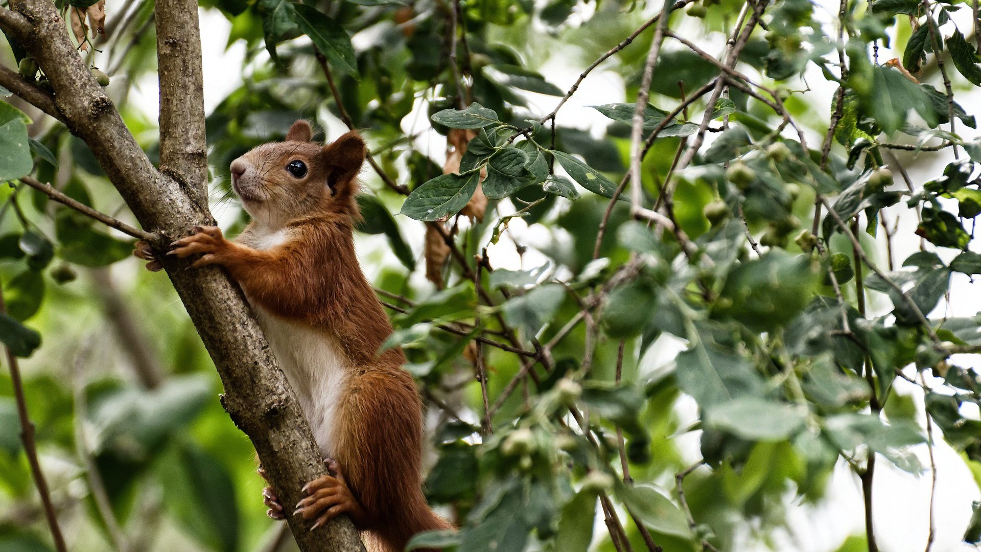爆发！帕尔默引领利物浦一波带走曼城