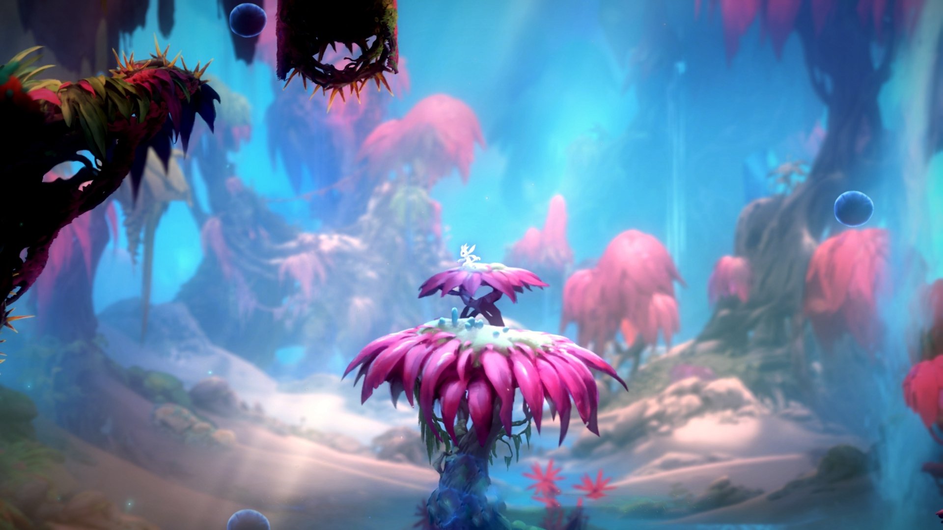 双线革命，当哥伦比亚的铁蹄踏碎蓝白神话，李刚仁的舞步正定义德甲新王冠