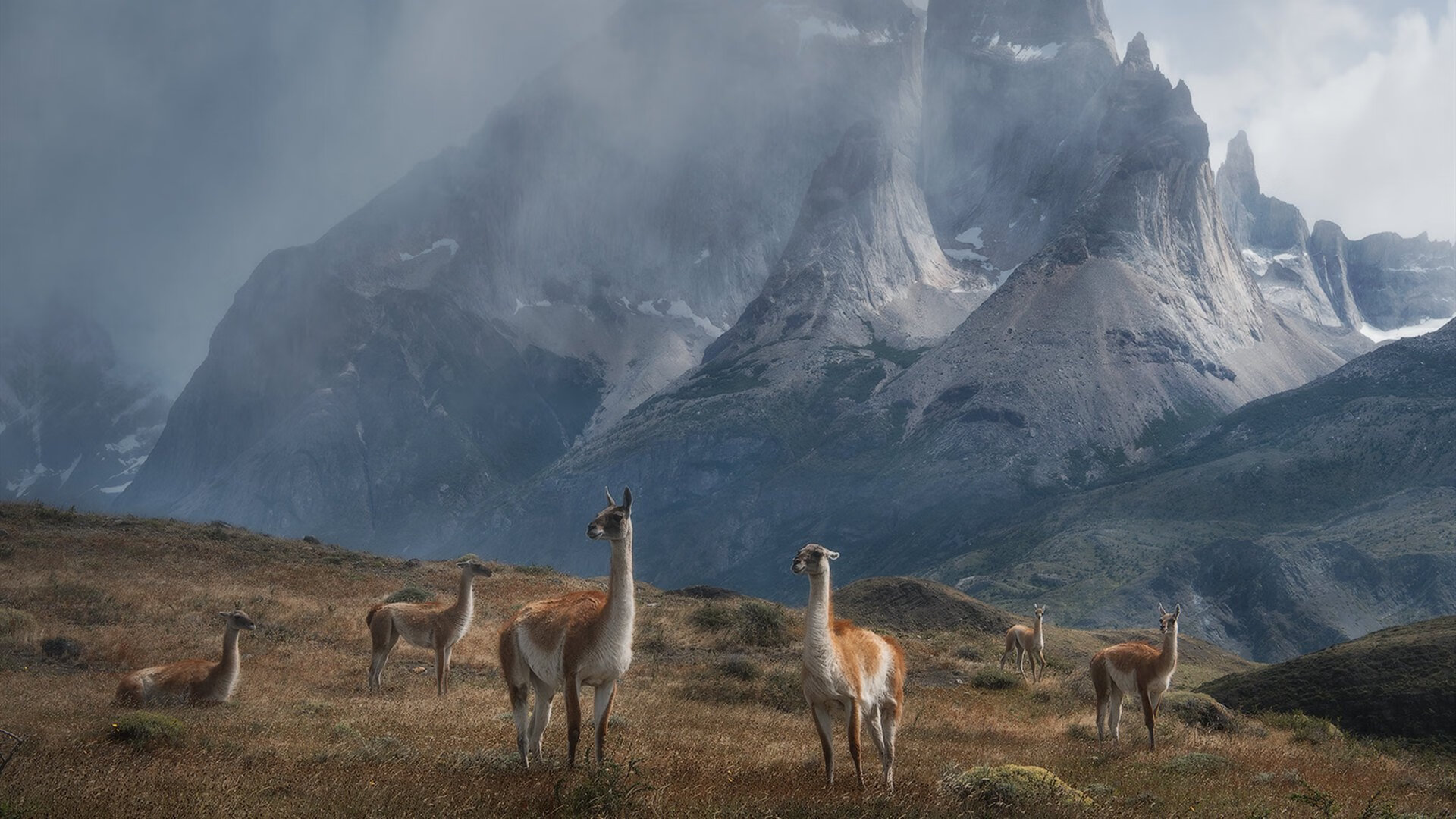 跨洋对决，武切维奇在钢索上的独舞