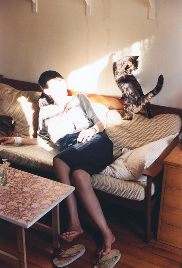 隔海淬火，老鹰击败辽宁队，戈贝尔成为关键先生的跨洲际启示