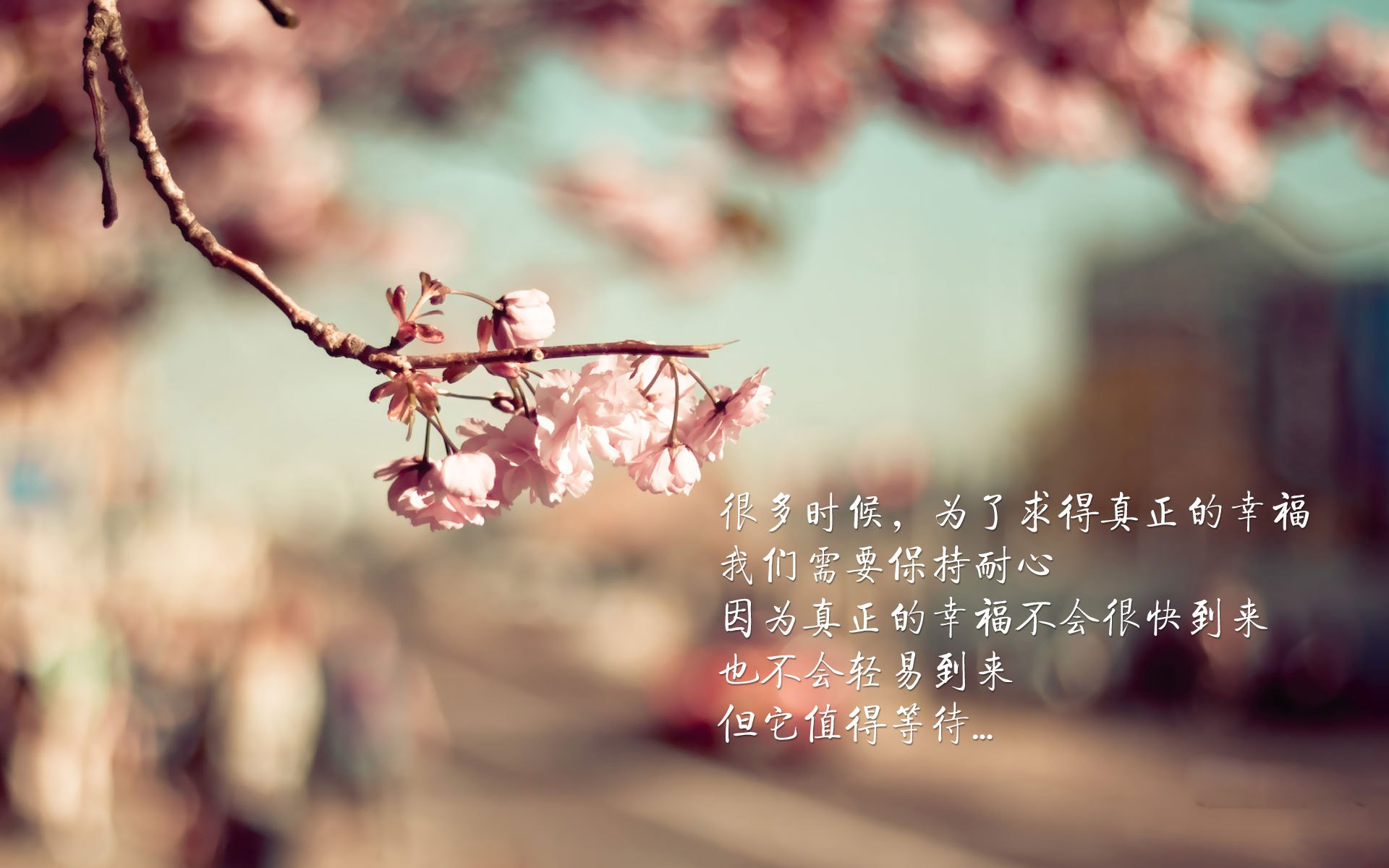 双线奏凯，日本阿尔及利亚之征与巴斯托尼的东决封神之战