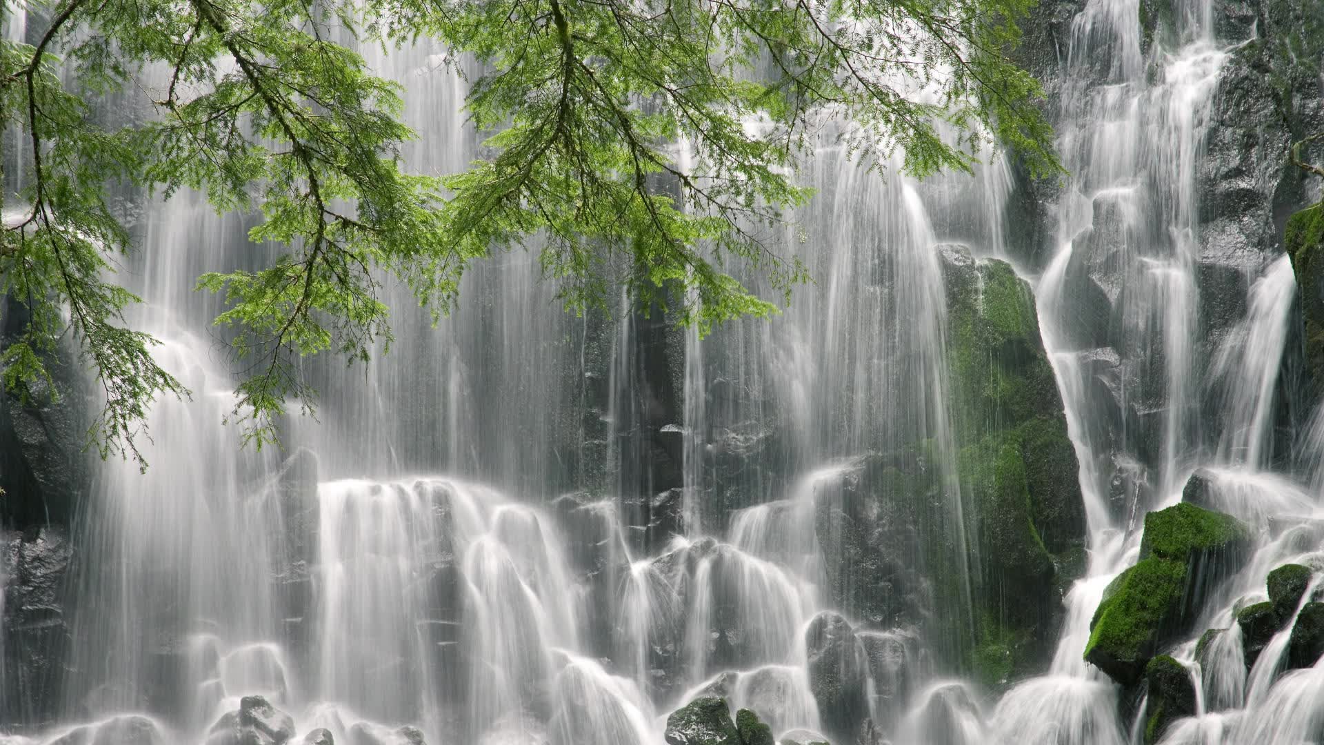 铁血雄狮震欧陆，喀麦隆凭硬汉巴雷拉击溃匈牙利，2026世界杯C组写下最热血剧本